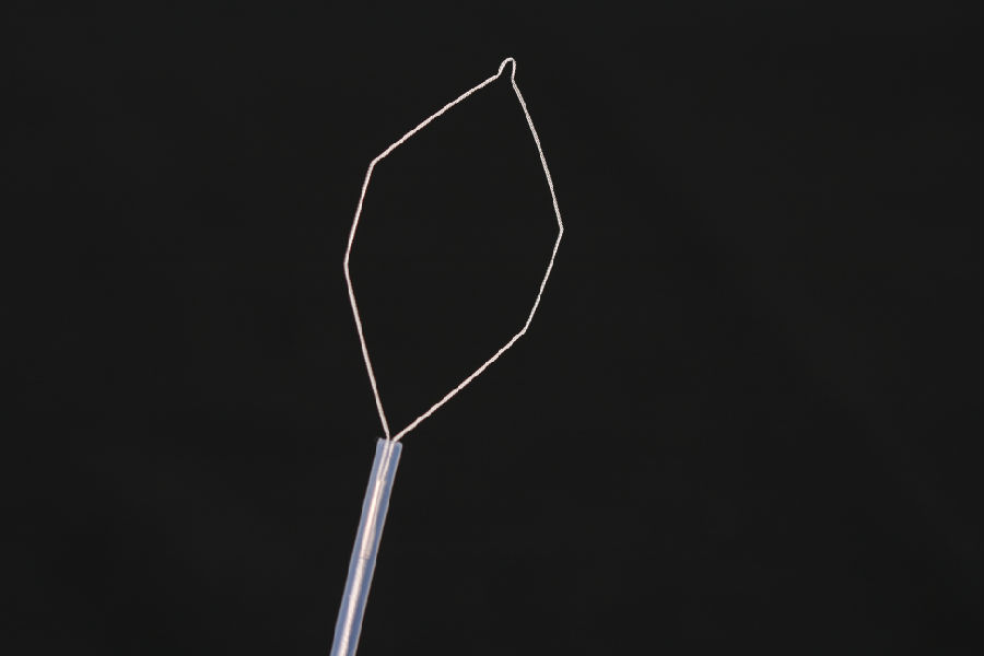 6361655238044098187397291