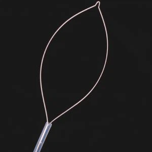 Snare Sekali Pakai untuk Mengeluarkan Polip Kecil